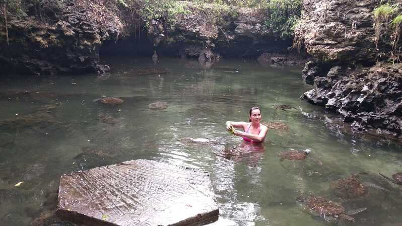 Zanzibar Kuzey Kıyısı ve Kaplumbağa Korunağı Turu